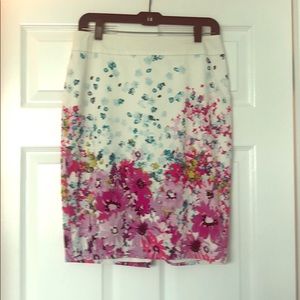 Ann Taylor Pencil Skirt